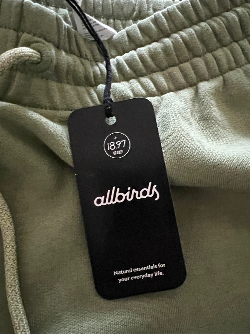 allbirds Sage Green Men's Jogger Sweatpants - Picture 4 of 8